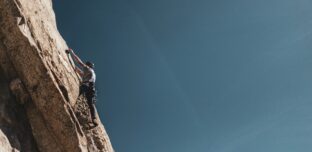 Internationales Steuerrecht